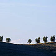 Panoramic Of Ploughed Fields And Art Print