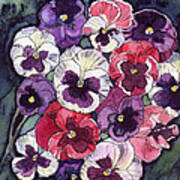 Pansies Art Print