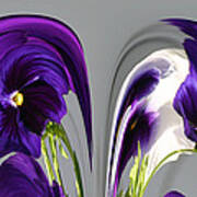 Pansy Series 803 Art Print