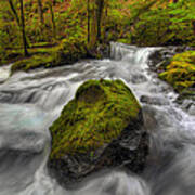 Panther Creek Falls Art Print