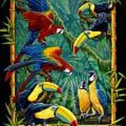 Parrots Black Art Print