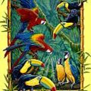 Parrots Yellow Art Print