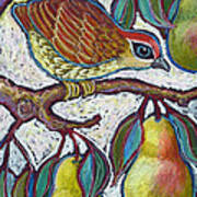 Partridge In A Pear Tree 3 Art Print