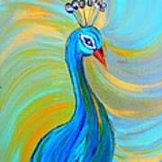 Peacock Vii Art Print