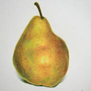 Pear Practice Art Print