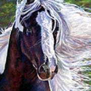 Pearlie King Gypsy Vanner Stallion Art Print