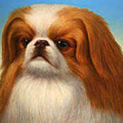 Pekingese Art Print