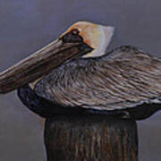 Pelican At The Pier Art Print