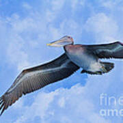 Pelican In The Clouds Art Print