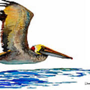 Pelican Over Water Art Print