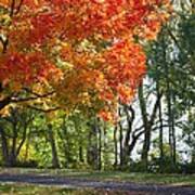 Peoria Riverfront Park In Autumn Two Art Print