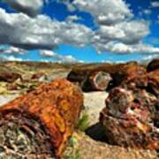 Petrified Forest #petrified Art Print