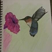 Phat Hummingbird :p Art Print