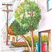 Phone Pole In Venice Canals - California Art Print