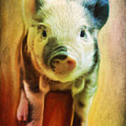 Pig Is Beautiful Art Print