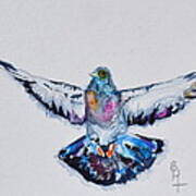 Pigeon In Flight Art Print