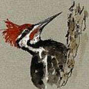 Pileated Woodpecker Art Print