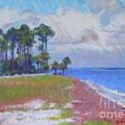 Pine Island Beach Art Print