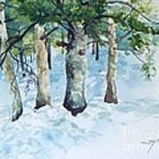 Pine Trees And Snow Art Print