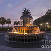 Pineapple Fountain At Night Art Print