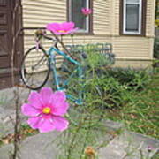 Pink Flower Blue Bike Art Print