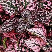 Pink - Plant - Petals Art Print