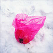 Pink Plastic Bag Lying On White Snow Art Print