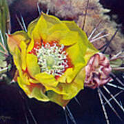 Pink Prickly Pear Yellow Cactus Flower Art Print