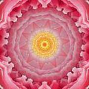 Pink Rose Sunshine Mandala Art Print