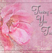 Pink Rose Thinking Of You Greeting Card Art Print