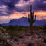 Pink Skies At The Superstitions Art Print