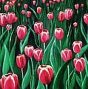 Pink Tulip Field Art Print