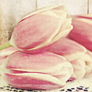 Pink Tulips Art Print