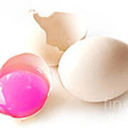 Pink Yolk Egg Art Print