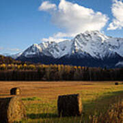 Pioneer Hay Fields Art Print