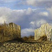 Plum Island Fence Art Print