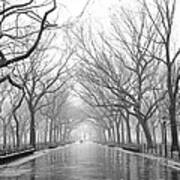 New York City - Poets Walk Central Park Art Print