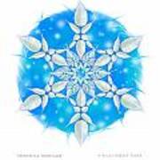Poinsettia Snowflake Art Print