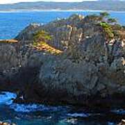 Point Lobos Number 9 Art Print
