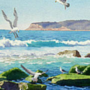 Point Loma Rocks Waves And Seagulls Art Print