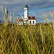 Point Wilson Lighthouse And Grassy Foreground Art Print