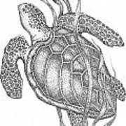 Сердце черепахи поделено на два. Черепаха Графика. Черепаха в узорах. Черепаха рисунок карандашом. Декоративная черепаха рисунок.