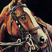 Polo Pony Art Print