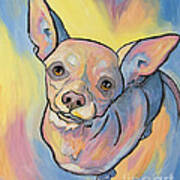 Pop Art Chihuahua Art Print