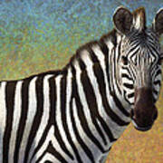 Portrait Of A Zebra Art Print