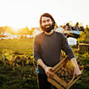 Portrait Of Urban Farmer Holding Crate Of Potatoes Art Print