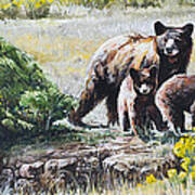 Prairie Black Bears Art Print