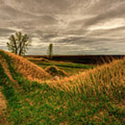 Prarie Grassland Art Print