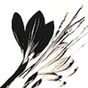 Pressed Flower Black Crocus Art Print