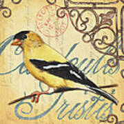 Pretty Bird 3 Art Print